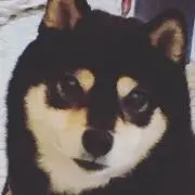 necomarukoの画像