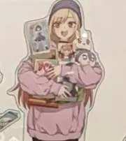 サリの画像