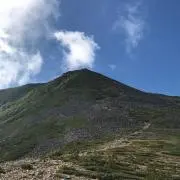 まつの画像