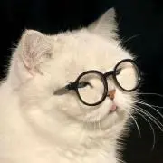 あり