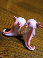 ぴよちゃん