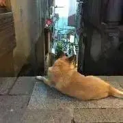 Chan-Tak☆の画像