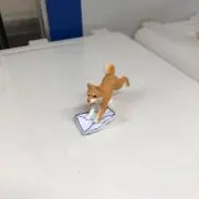 タカノの画像