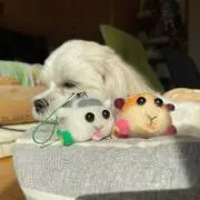 ぷにゅ