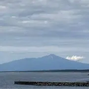 とりうさの画像