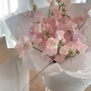 愛乃