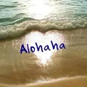 Alohahaの画像
