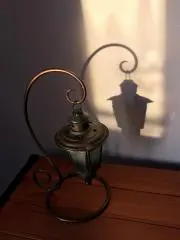 キジトラの画像