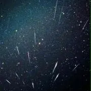みとこ
