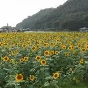 shooo☆0439の画像