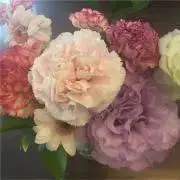 mky☆の画像