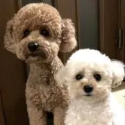 ポテもち♡たくさんのご縁に感謝です♡の画像