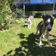 mikiの画像