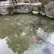 ぺけ