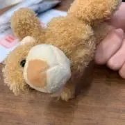 yyyyyyy