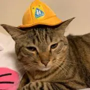 KOUJIの画像