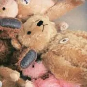 BearOwnerの画像