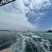 イトウの画像