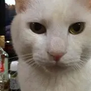 雫