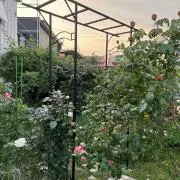 みん 〜断捨離中〜の画像