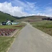656☆の画像