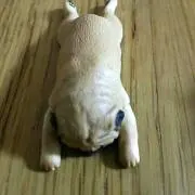 はな！売り出し中