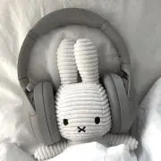 chikoプロフお読みくださいの画像