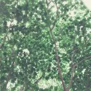 さぁたむ