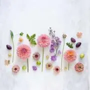 ARENA⭐️２点からお願い致しますの画像