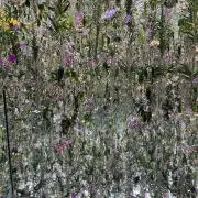 yU1440の画像
