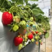 もっぴー（プロフ必読‼︎‼︎）の画像