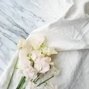 KSの画像