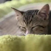 み|※プロフ必読の画像