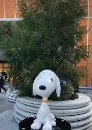 noriの画像