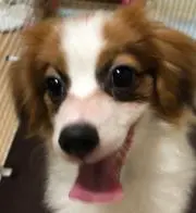 さなヒロ