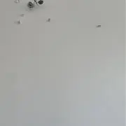 わいわい