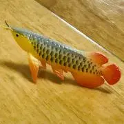 あろわなの画像