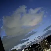 sora プロフあります ID記載‪✕‬の画像