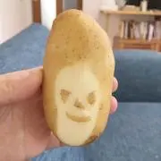 ぱぴこ
