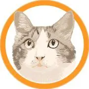 Saori@ねこぐらふぁー