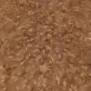 モフモフ
