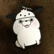 Rの画像