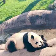 tomoの画像