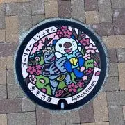 みーちゃんの画像