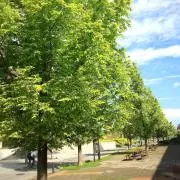 新品タグ付き　REMI RELIEF レミレリーフCape Sweat ピンク 新品タグ付き REMI RELIEF レミレリーフCape Sweat ピンク