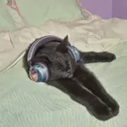 清水の画像