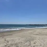 たーの画像