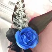 ❤自己紹介必読❤お願い致します