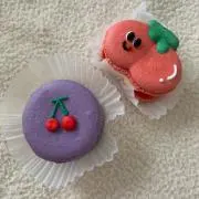 パルパルの画像