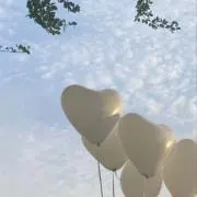 h  次回発送 8/5〜予定の画像